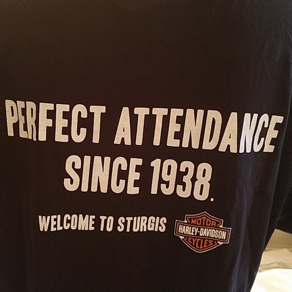 H-D Strugis t-shirt - Picture 3 of 3